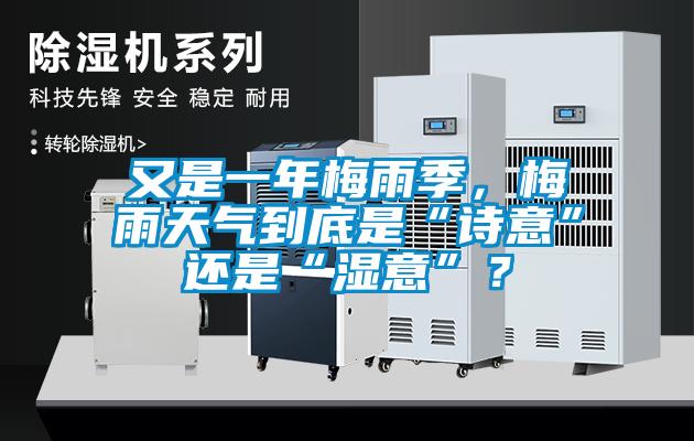 又是一年梅雨季，梅雨天氣到底是“詩意”還是“濕意”？