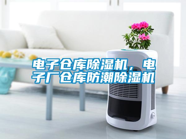 電子倉庫除濕機(jī)，電子廠倉庫防潮除濕機(jī)