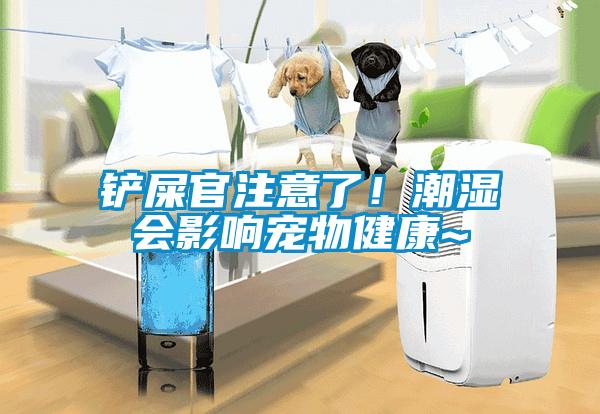 鏟屎官注意了！潮濕會影響寵物健康~
