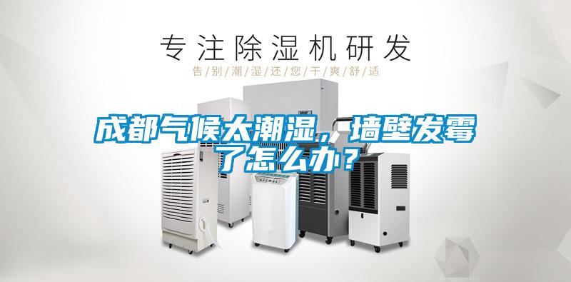 成都氣候太潮濕，墻壁發(fā)霉了怎么辦？