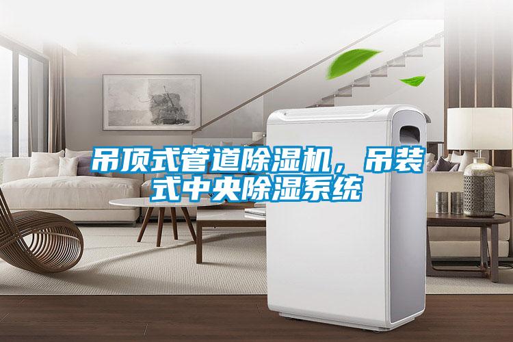 吊頂式管道除濕機(jī)，吊裝式中央除濕系統(tǒng)