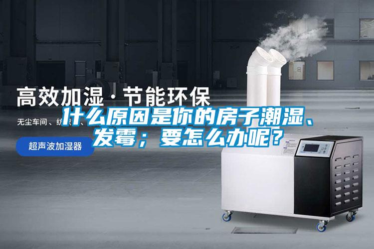 什么原因是你的房子潮濕、發(fā)霉；要怎么辦呢？