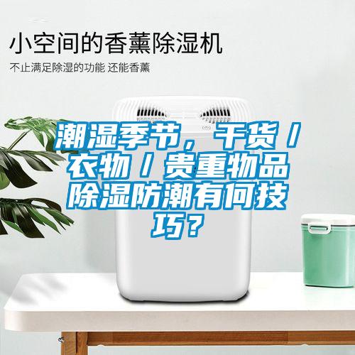 潮濕季節(jié)，干貨／衣物／貴重物品除濕防潮有何技巧？