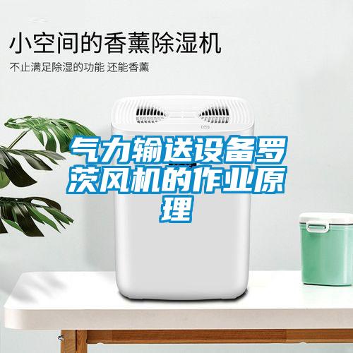 氣力輸送設(shè)備羅茨風機的作業(yè)原理