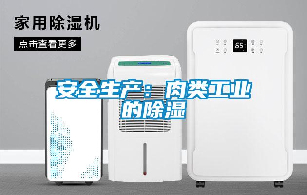 安全生產(chǎn)：肉類(lèi)工業(yè)的除濕