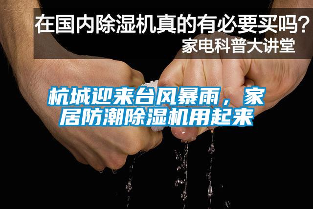 杭城迎來(lái)臺(tái)風(fēng)暴雨，家居防潮除濕機(jī)用起來(lái)