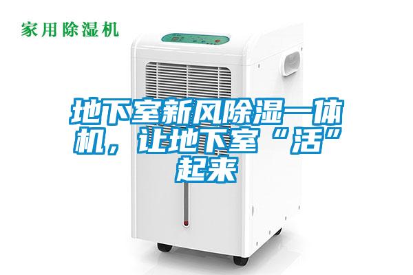 地下室新風(fēng)除濕一體機(jī)，讓地下室“活”起來