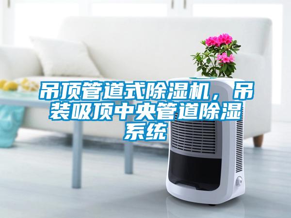 吊頂管道式除濕機(jī)，吊裝吸頂中央管道除濕系統(tǒng)