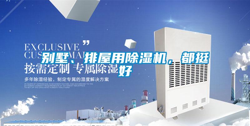 別墅、排屋用除濕機(jī)，都挺好