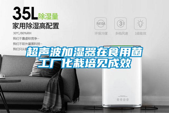 超聲波加濕器在食用菌工廠化栽培見(jiàn)成效