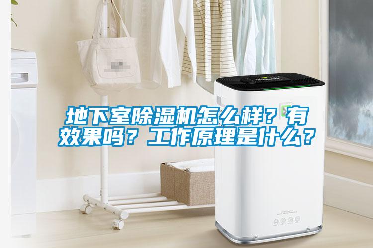 地下室除濕機怎么樣？有效果嗎？工作原理是什么？