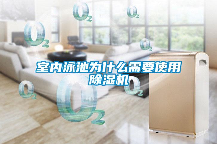 室內(nèi)泳池為什么需要使用除濕機