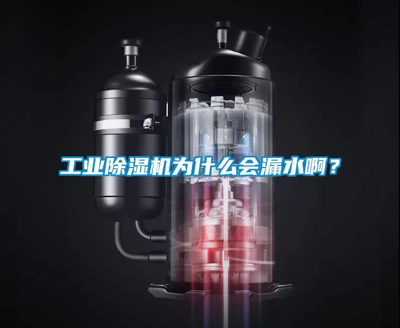 工業(yè)除濕機(jī)為什么會(huì)漏水??？