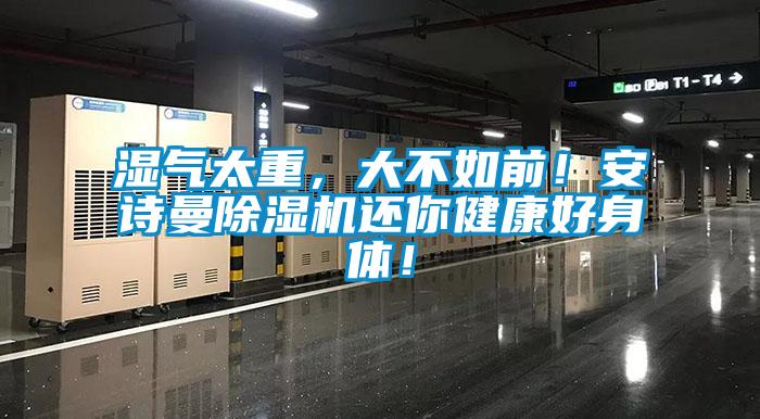 濕氣太重，大不如前！安詩(shī)曼除濕機(jī)還你健康好身體！