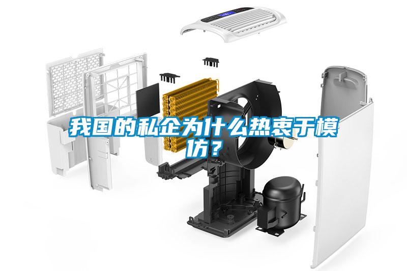 我國(guó)的私企為什么熱衷于模仿？