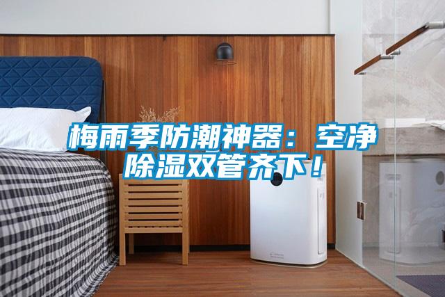 梅雨季防潮神器：空凈除濕雙管齊下！