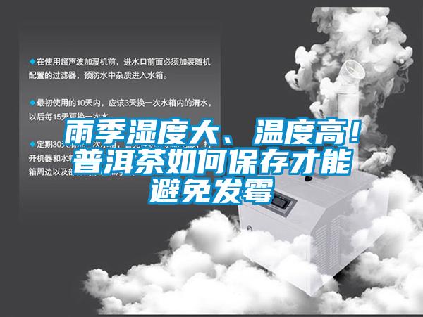 雨季濕度大、溫度高！普洱茶如何保存才能避免發(fā)霉