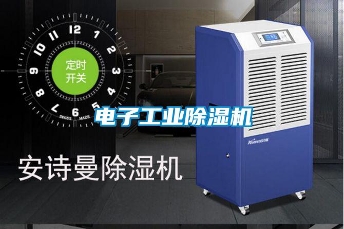 電子工業(yè)除濕機