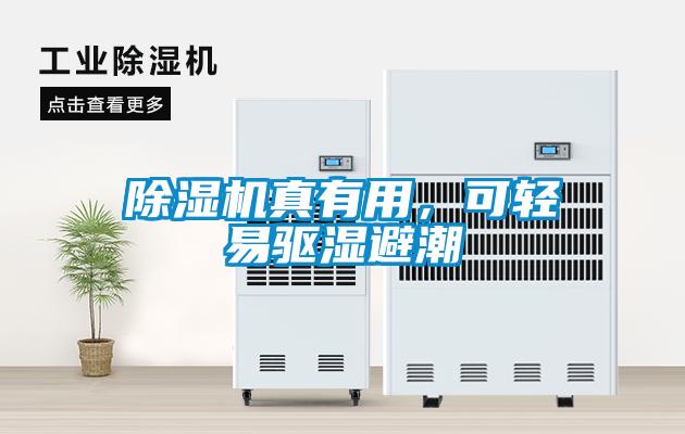 除濕機(jī)真有用，可輕易驅(qū)濕避潮