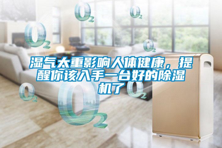 濕氣太重影響人體健康，提醒你該入手一臺好的除濕機了