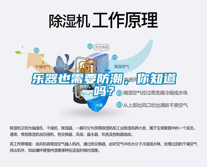 樂器也需要防潮，你知道嗎？