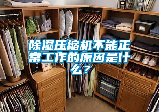 除濕壓縮機(jī)不能正常工作的原因是什么？