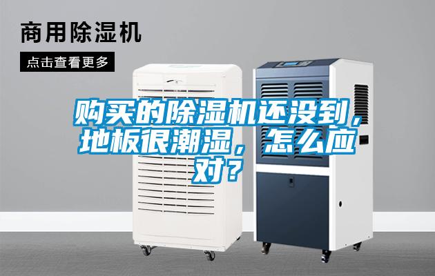 購買的除濕機(jī)還沒到，地板很潮濕，怎么應(yīng)對？