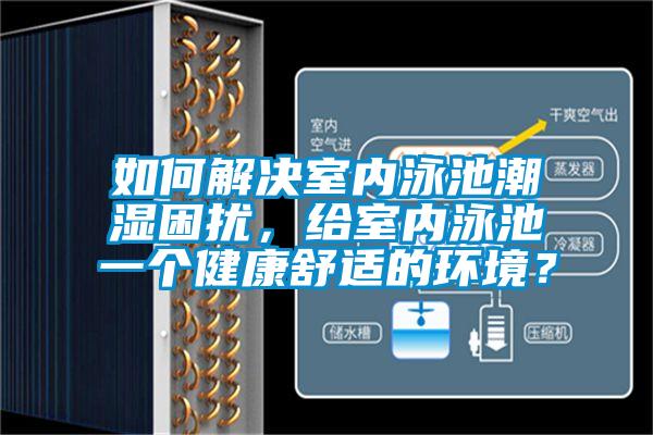 如何解決室內(nèi)泳池潮濕困擾，給室內(nèi)泳池一個健康舒適的環(huán)境？