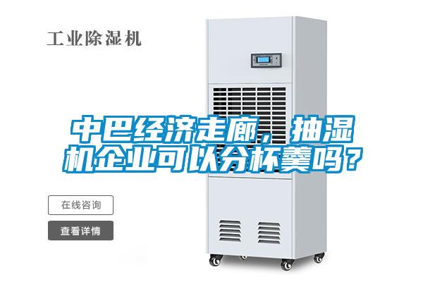 中巴經(jīng)濟走廊，抽濕機企業(yè)可以分杯羹嗎？
