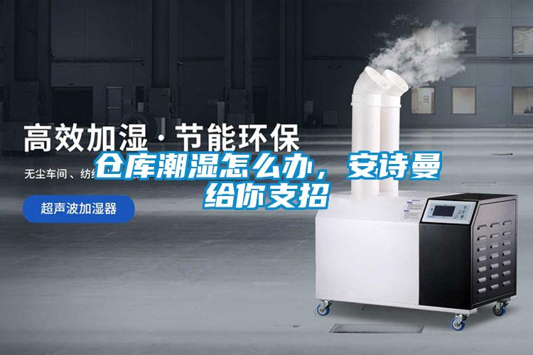 倉庫潮濕怎么辦，安詩曼給你支招