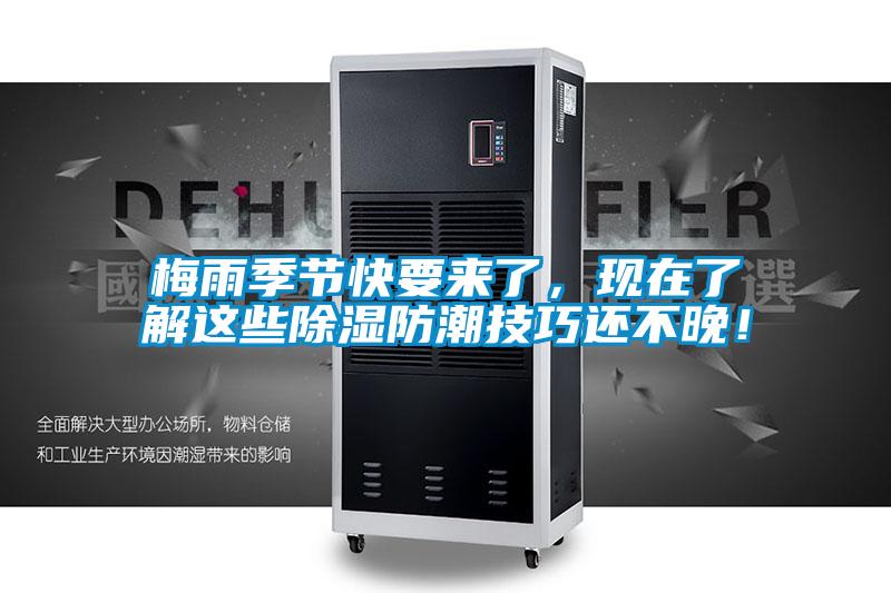 梅雨季節(jié)快要來(lái)了，現(xiàn)在了解這些除濕防潮技巧還不晚！