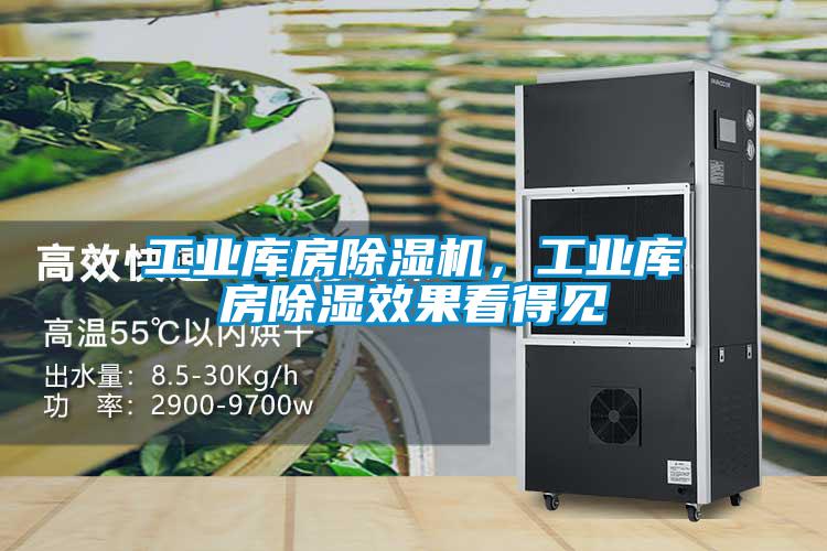 工業(yè)庫(kù)房除濕機(jī)，工業(yè)庫(kù)房除濕效果看得見(jiàn)