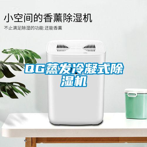 QG蒸發(fā)冷凝式除濕機