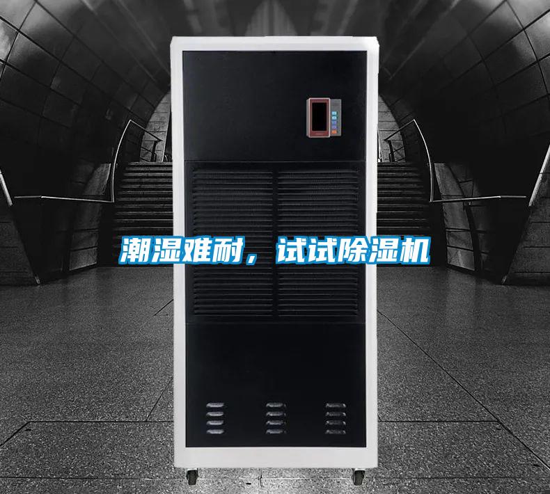 潮濕難耐，試試除濕機(jī)