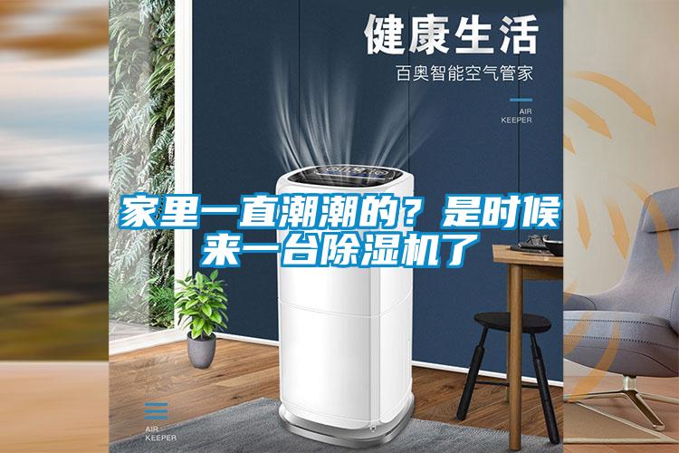 家里一直潮潮的？是時(shí)候來一臺(tái)除濕機(jī)了