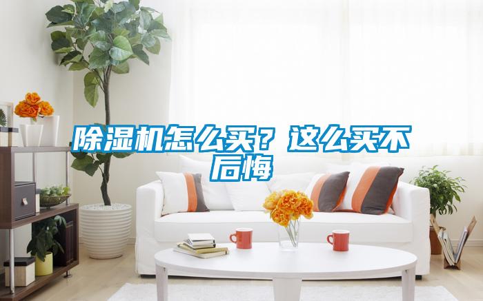 除濕機(jī)怎么買(mǎi)？這么買(mǎi)不后悔