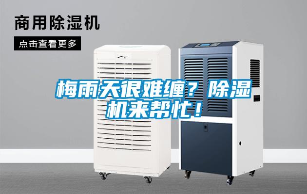 梅雨天很難纏？除濕機來幫忙！
