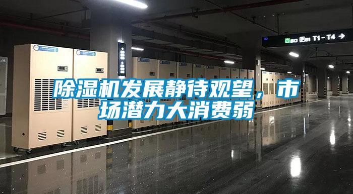 除濕機發(fā)展靜待觀望，市場潛力大消費弱