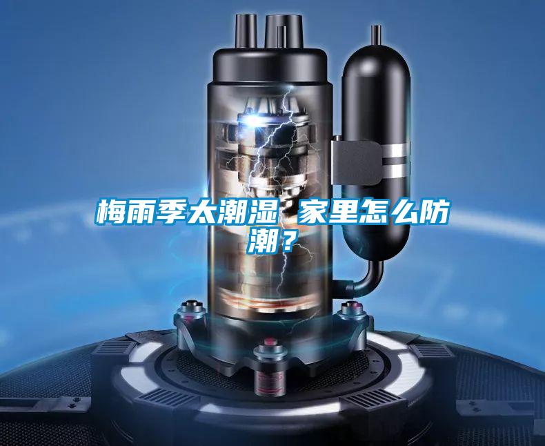 梅雨季太潮濕 家里怎么防潮？
