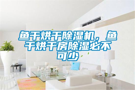 魚干烘干除濕機(jī)，魚干烘干房除濕必不可少