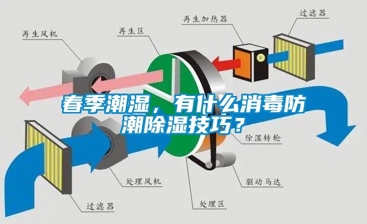 春季潮濕，有什么消毒防潮除濕技巧？