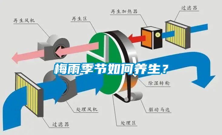 梅雨季節(jié)如何養(yǎng)生？