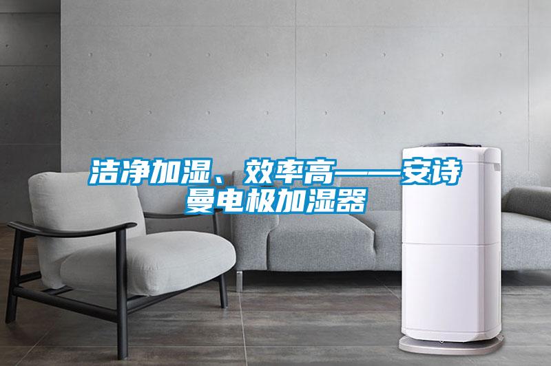 潔凈加濕、效率高——安詩(shī)曼電極加濕器