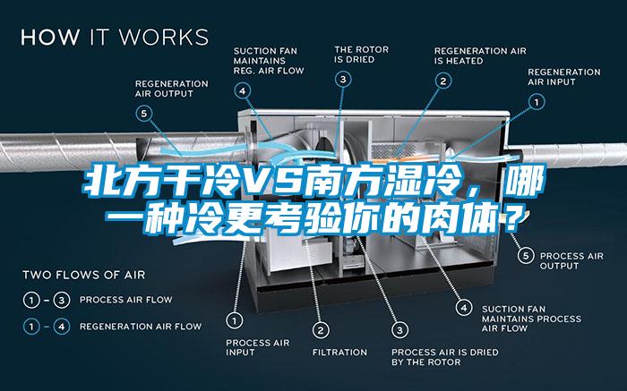 北方干冷VS南方濕冷，哪一種冷更考驗?zāi)愕娜怏w？