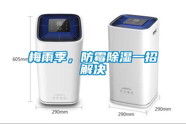 梅雨季，防霉除濕一招解決