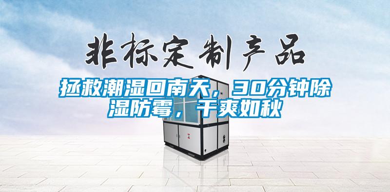 拯救潮濕回南天，30分鐘除濕防霉，干爽如秋