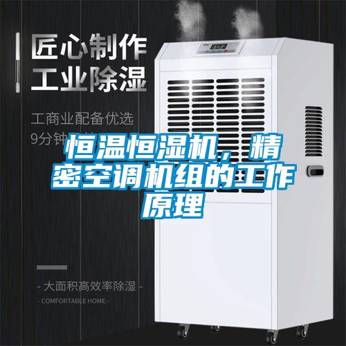 恒溫恒濕機(jī)，精密空調(diào)機(jī)組的工作原理
