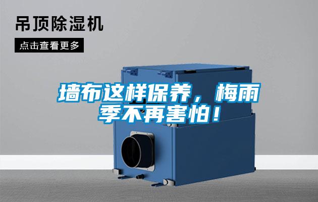 墻布這樣保養(yǎng)，梅雨季不再害怕！