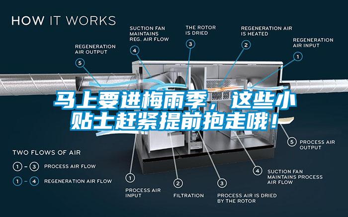 馬上要進(jìn)梅雨季，這些小貼士趕緊提前抱走哦！