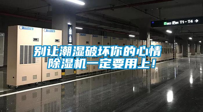 別讓潮濕破壞你的心情 除濕機(jī)一定要用上！
